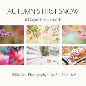Könnte beinhalten: Eine Sammlung von sechs digitalen Hintergründen mit dem Titel AUTUMN'S FIRST SNOW, 6 Digital Backgrounds, 100% Real Photography, No AI, 4K, 16:9. Die Bilder zeigen verschiedene Szenen von Herbstblättern, einige mit rotem und grünem Laub.