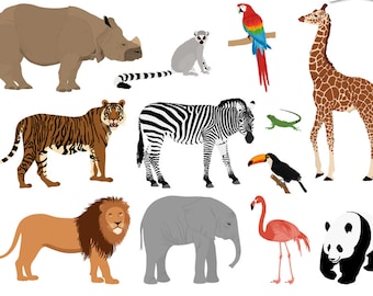Digital Clipart-Zoo Animals-Tiger-Lion-Panda-Parrot-Tucan-Elephant-Lemur-Flamingo-Rhino-Giraffe-Zebra-Zoo Clipart-Instant Download Clip Art