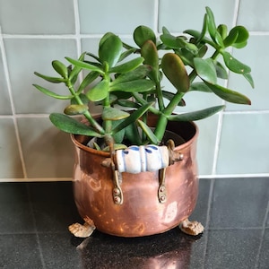Könnte beinhalten: Ein polierter Kupferübertopf mit rundem Körper, ausgestattet mit einem weißen Keramikgriff mit blauen Blumenmustern und drei kleinen, strukturierten Metallfüßen. Eine Jade-Pflanze mit dicken, fleischigen Blättern steht in dem Behälter.