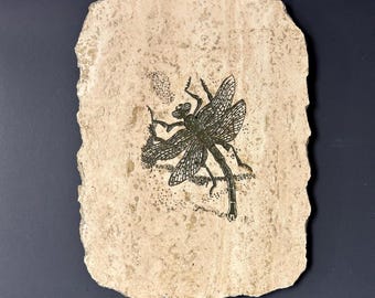 Libélula tallada por Rodney Winfield en mármol o travertino, piedra crema con detalles en pintura verde, decoración de mesa o pared ENVÍO GRATIS