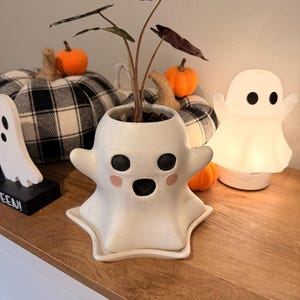 May include: A white ceramic ghost-shaped planter with a matching saucer, featuring black eyes and a black mouth with small pink circular cheeks. A small plant with thin, dark-veined leaves grows from the top opening of the ghost-shaped container.