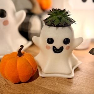 May include: A white ceramic ghost-shaped planter featuring a green succulent plant on top. The ghost has black eyes, a black mouth, and small pink circular cheeks. An orange fabric pumpkin with a brown stem sits to the left of the ghost planter.