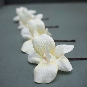 Ivory Silk Orchid Hair Flowers: Bridal Bobby Pin Set of 4
