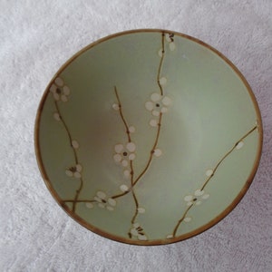 May include: A green ceramic bowl with a brown rim and white floral design. The bowl features a delicate pattern of white blossoms and brown branches.
