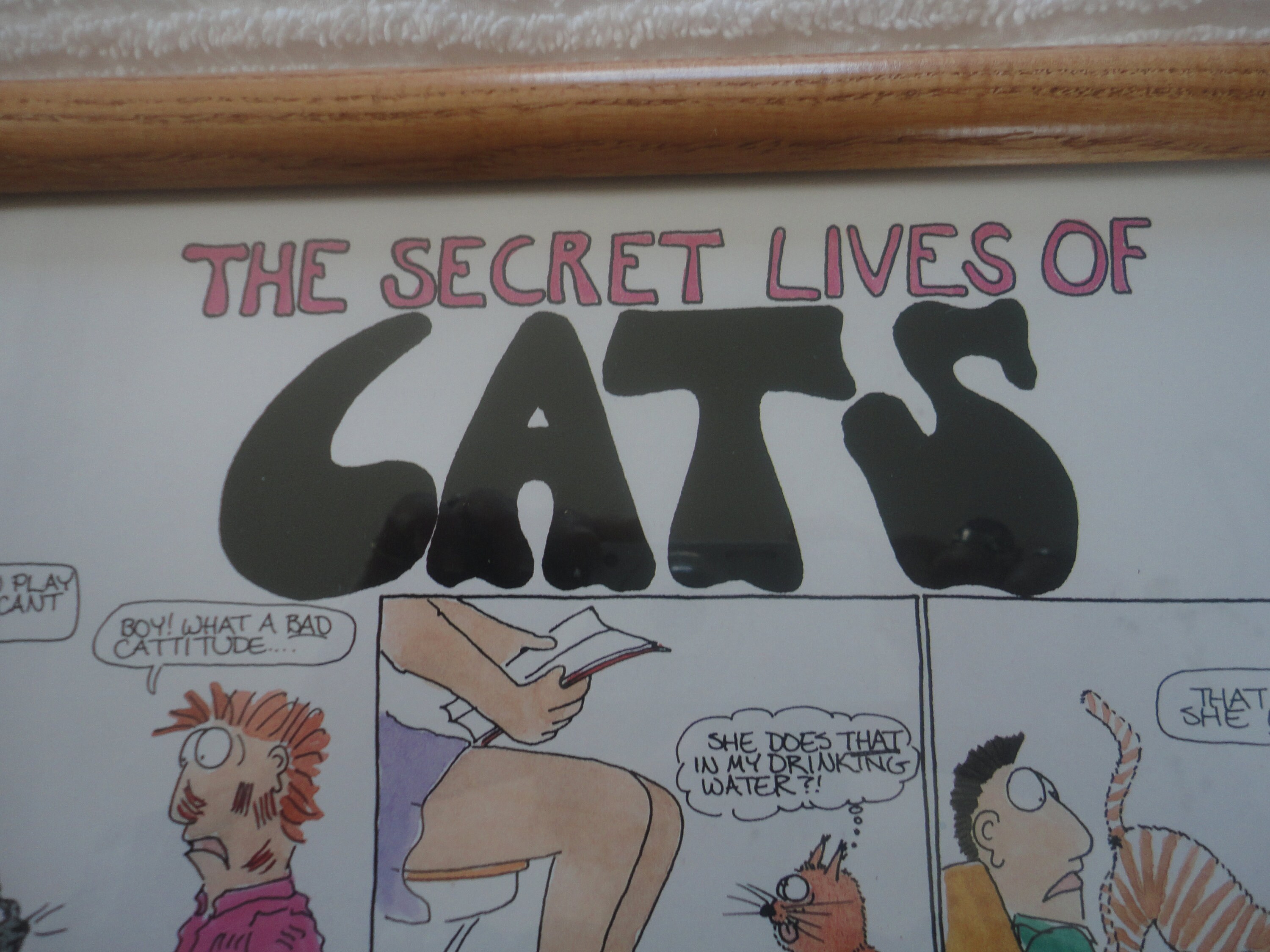 Wall-e analysis picture