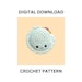 see more listings in the Crochet Patterns section