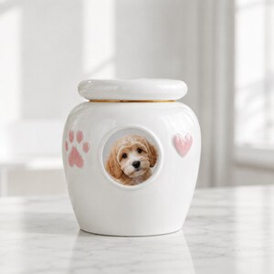 Personalized Ceramic Pet Urn, Custom Dog or Cat Memorial Ashes Keepsake with Photo