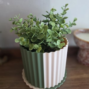 May include: A cylindrical plant pot with a vertical ribbed texture, featuring a split colour design of sage green and cream. The pot sits on a matching scalloped circular base and contains a small, leafy green artificial plant with rounded foliage.