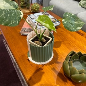 Modern Two-Tone Ribbed Planter & Matching Saucer