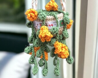 PATTERN-Hanging Plant  Crochet Pattern-Images Tutorial and Video Support