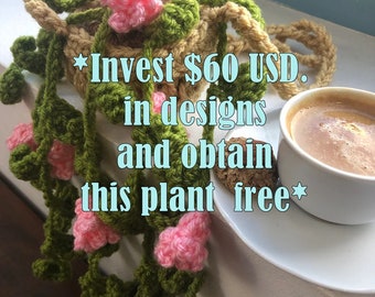OFFER From Shop-Invest 60 USD in designs  and obtain  this plant  free