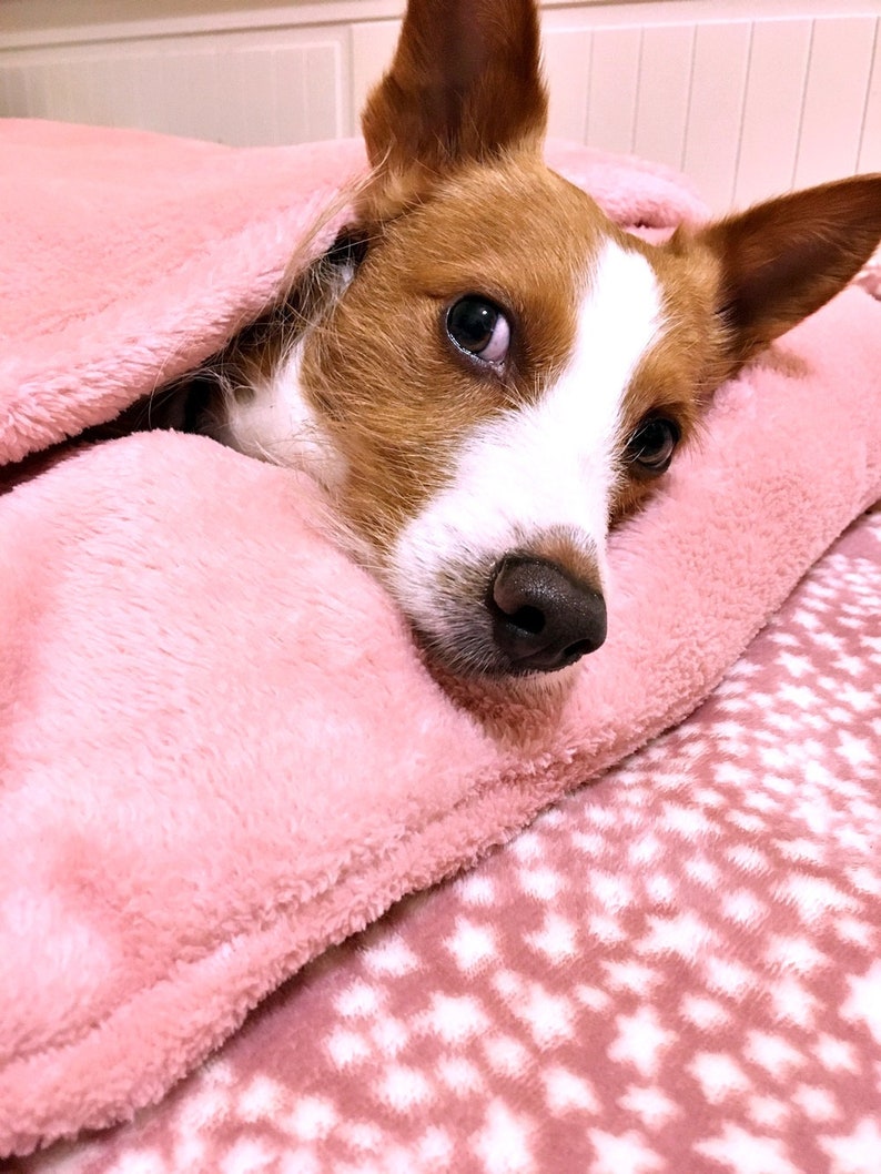 SWEET DREAMS DOG Bed Sewing Pattern Etsy