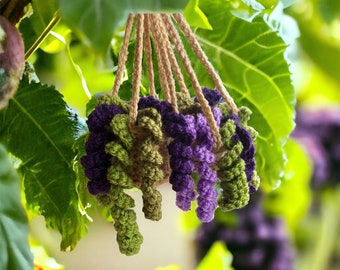 REAL Crochet- 2 Units-Lilac Crochet Cute Hanging Plant  Crochet