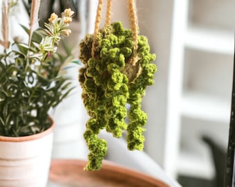 REAL Crochet- 2 Units-OLIVES Crochet Cute Hanging Plant  Crochet