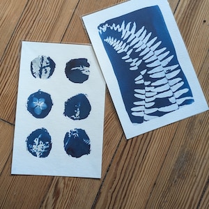 May include: Two botanical art prints featuring cyanotype images of plants. One print showcases a fern, and the other displays six circular impressions of leaves and a flower. The prints are on white paper with a deep blue background.