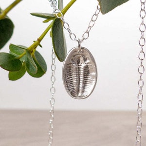 Silver Trilobite Fossil Pendant Silver Fossil Necklace Insect Jewellery Palaeontology Necklace Birthday Gift Fossil Jewellery image 1