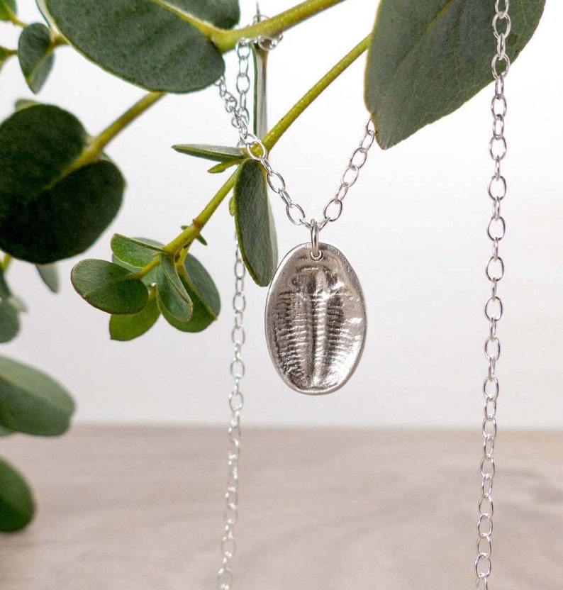 Silver Trilobite Fossil Pendant Silver Fossil Necklace Insect Jewellery Palaeontology Necklace Birthday Gift Fossil Jewellery image 1