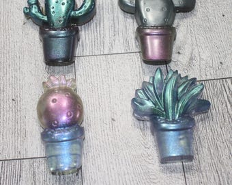 Succulent Fridge magnets set of 4