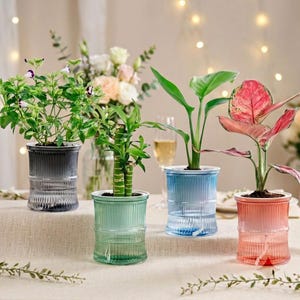 Pot de fleurs à arrosage automatique, pot d'intérieur transparent, pot de table à double compartiment pour bureau, chambre, balcon et décoration intérieure moderne