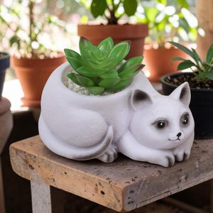 May include: A white cat-shaped planter with a smooth finish, featuring dark-tipped ears and a small black nose. The planter holds a vibrant green succulent plant nestled in small white pebbles, creating a compact and decorative botanical display.
