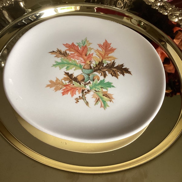 6" Rare-Beautiful Fall Autumn Leaves Crooksville Iva-Lure Bread/Dessert Plate