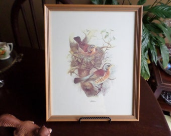 Lovely Vintage Fieldfare-Thrush Birds/Wildlife Wall Hanging Picture Frame-Decoration-Framed in Dearborn Michigan