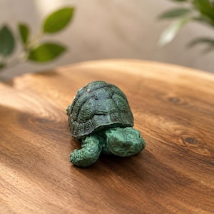 May include: A small, dark green turtle figurine with a textured, patterned shell and detailed skin. The turtle is positioned in a forward-facing stance, showcasing a weathered, matte finish that highlights the intricate scales on its head and limbs.