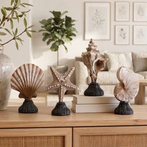 May include: A set of four decorative sculptures featuring a fan-shaped shell, a five-pointed starfish, a tall spiral conch shell, and a rounded nautilus-style shell. Each piece has a textured beige finish and sits on a dark, circular base.