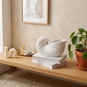 May include: A white ceramic vase shaped like a nautilus shell with ribbed texture, resting on two stacked white books. The vase features a curved, spiralling form with a wide opening, showcasing a clean, matte finish and detailed linear ridges.