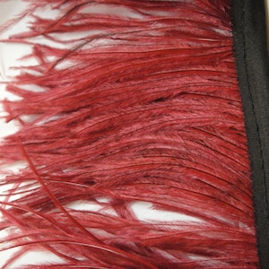 May include: A close-up of a red ostrich feather trim with a black fabric backing. The feathers are soft and fluffy, and the trim is ideal for adding a touch of elegance to any project.