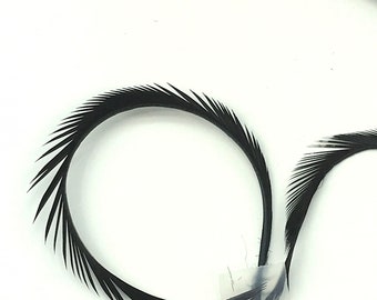 May include: Close-up of black feathers arranged in a curved shape, possibly for crafting or decorative purposes. The feathers are attached with clear tape to a white surface. The feathers have a delicate, textured appearance.