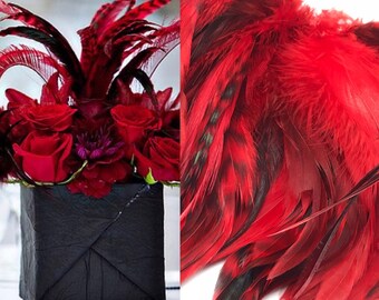 red and black feather Hackle ,red craft feathers, DIY feathers,costume design, Floral Designing and millinery  3 inches