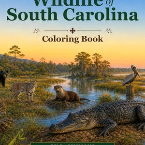 May include: A coloring book titled Wild America Series Wildlife of South Carolina by D. Simmons. The cover features a detailed illustration of a swamp landscape with a black bear, bobcat, otter, alligator, and pelican at sunset.