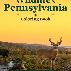 May include: A coloring book titled Wild America Series Wildlife of Pennsylvania by D. Simmons. The cover features a sunset landscape with a deer, a black bear, and an otter. Text includes: An Pennsylvania wildlife coloring book for kids featuring forests, mountains, valleys, rivers, wetlands, lakes, and meadow wildlife.