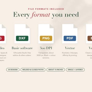 Op de afbeelding: Een gids voor digitale bestandsformaten met vijf iconen gelabeld SVG, DXF, PNG, PDF en EPS. De tekst bevat 'Every format you need', 'Cut files', 'Basic software', '300 DPI', 'Vector' en '30 designs, welded & closed paths, about 10 inches'.