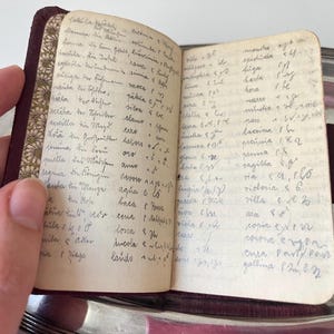 May include: A small, open notebook with a deep burgundy cover and cream-coloured pages filled with handwritten cursive text in blue ink. The inner spine features a decorative floral pattern in brown and white, and the pages show aged, yellowed edges.