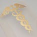 Caduceus, Iron On Decal, Custom Graduation Decal, Medical Iron On, Graduation Cap Topper, Nursing Iron On, Custom Grad Cap, DIY Grad Cap
