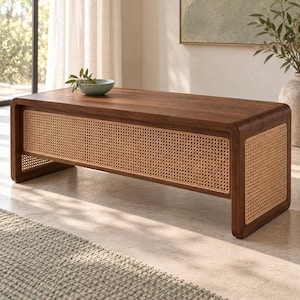 May include: A rectangular coffee table constructed from dark brown wood with rounded edges. The front and side panels feature a light tan woven cane mesh inlay. The table has a smooth, solid wood top surface and a low-profile, open-base design.