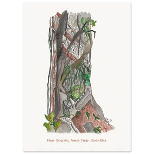 May include: A watercolor and ink illustration of a large tree trunk with textured bark, intertwined vines, and green leaves. The artwork features the text "Playa Chiquita, Puerto Viejo, Costa Rica" at the bottom, rendered in a simple, typewriter-style font.