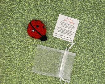 May include: A small red crocheted ladybug with black spots and a black head. The ladybug is in a white organza bag with a white ribbon. The bag has a small card attached to it with the text "The Tiny Little Ladybug" and a poem about the ladybug.