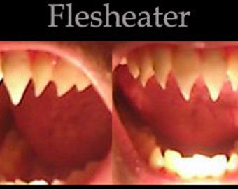 Flesh-eater Fangs (Bitte Artikelbeschreibung lesen!)