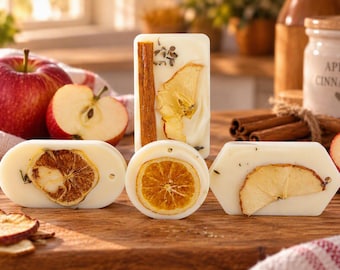 May include: Four white wax tablets in rectangular, oval, circular, and hexagonal shapes, embedded with dried apple slices, orange slices, and cinnamon sticks. The rectangular tablet features a cinnamon stick and apple slice, while others display citrus and fruit.