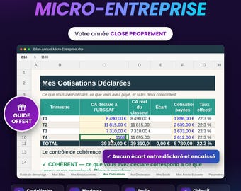 Annual Excel Report for Self-Employed Individuals: Turnover Summary, URSSAF Audit, and Amounts to Declare