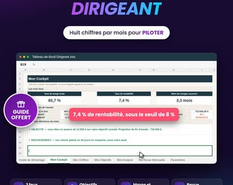 Excel Dashboard for Small Business Owners: Monthly Tracking, Warning Lights, Profitability Margin and Cash Flow