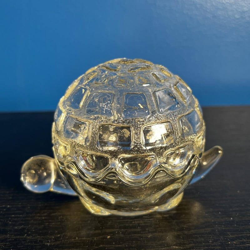 Windshield Turtle Shell Vintage Glass Turtle Bowl - Etsy
