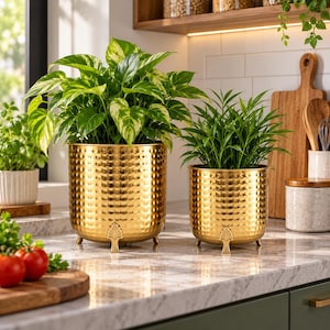 May include: Two cylindrical metal planters with a reflective gold finish and a hammered texture. Each planter features three small, decorative leaf-shaped feet at the base. The planters hold green leafy plants and sit on a marble countertop.
