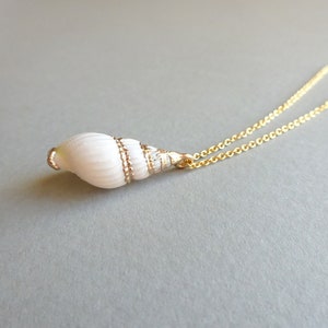 Conch Shell Necklace, Gold Shell Necklace, Dainty Gold Necklace, Gold Necklace, Ocean Jewelry Trend, Seashell Jewelry, Sea Shell Necklace