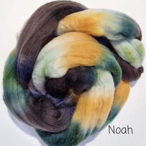 Merino Wool Roving- Noah