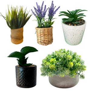 Clipart med konstgjorda krukväxter, digital grönskande dekor (10 PNG-filer)