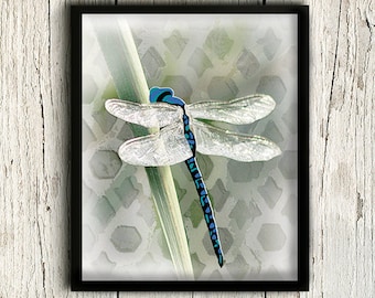 Dragonfly Art Print, Nautical Decor, Dragonfly Wall Art, Insect Art, Insect Print, Illustration, Home Decor  / 8x10in
